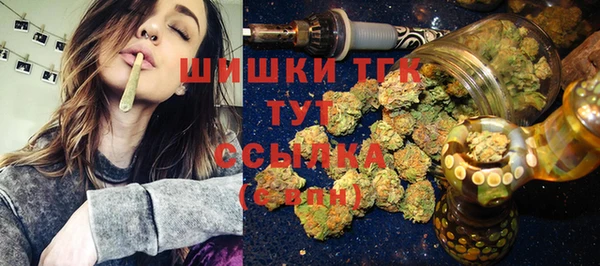 индика Вяземский