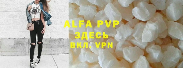 индика Вяземский