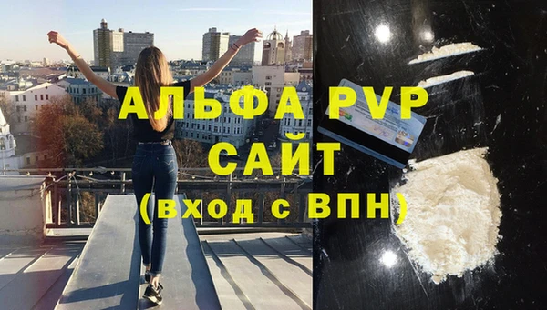индика Вяземский