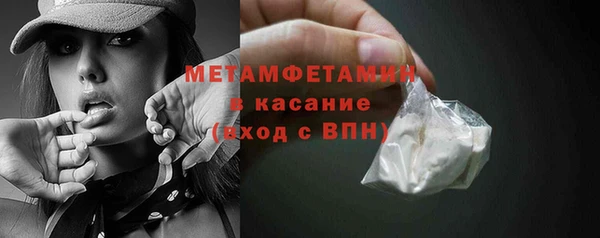 индика Вяземский