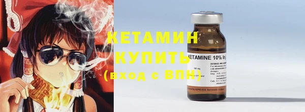 индика Вяземский