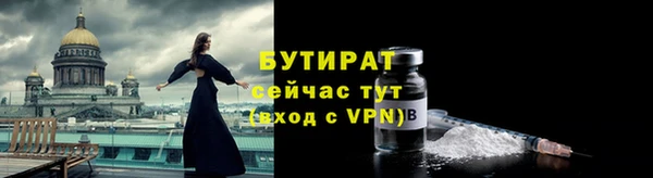индика Вяземский
