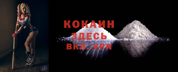 индика Вяземский