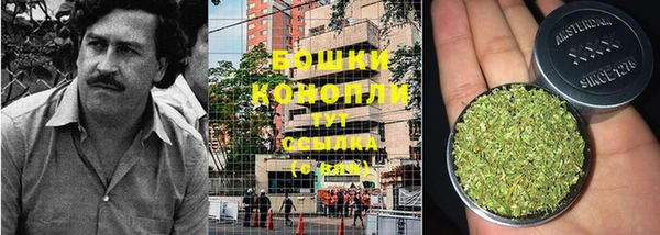 индика Вяземский