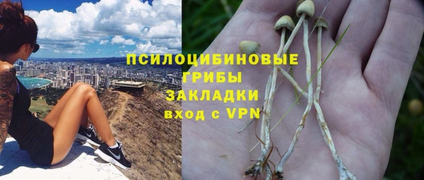 первитин Горнозаводск