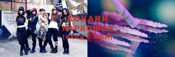 индика Вяземский