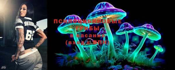 экстази Гусь-Хрустальный