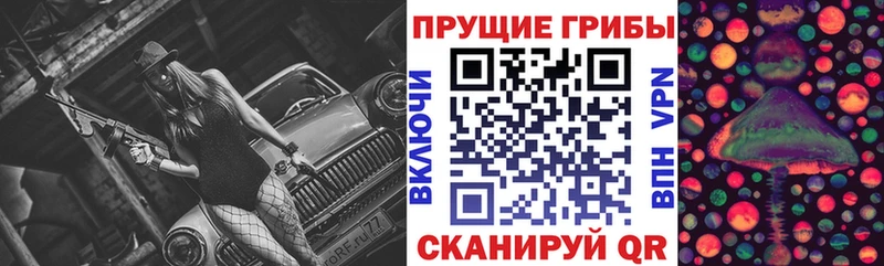 ссылка на мегу как войти цены Завитинск Псилоцибиновые грибы мухоморы