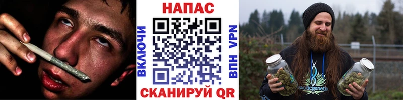 Каннабис Bruce Banner  где найти   Завитинск 